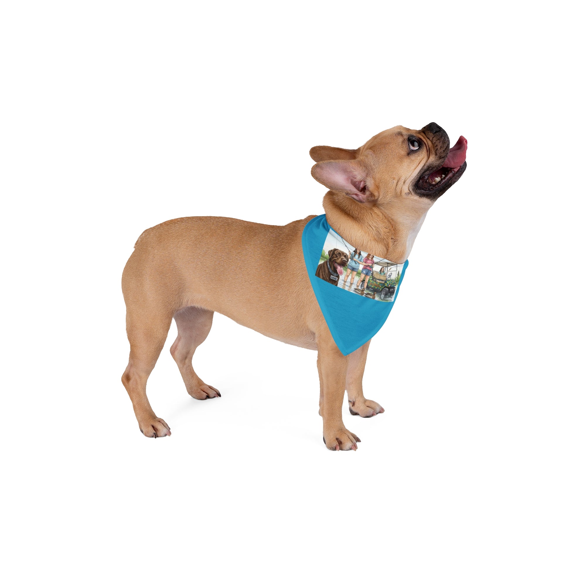 Dog wearing a blue bandana with a collage design on a white background