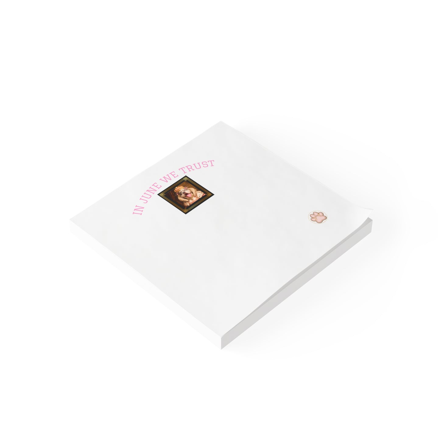 White book with a photo and text on a white background
