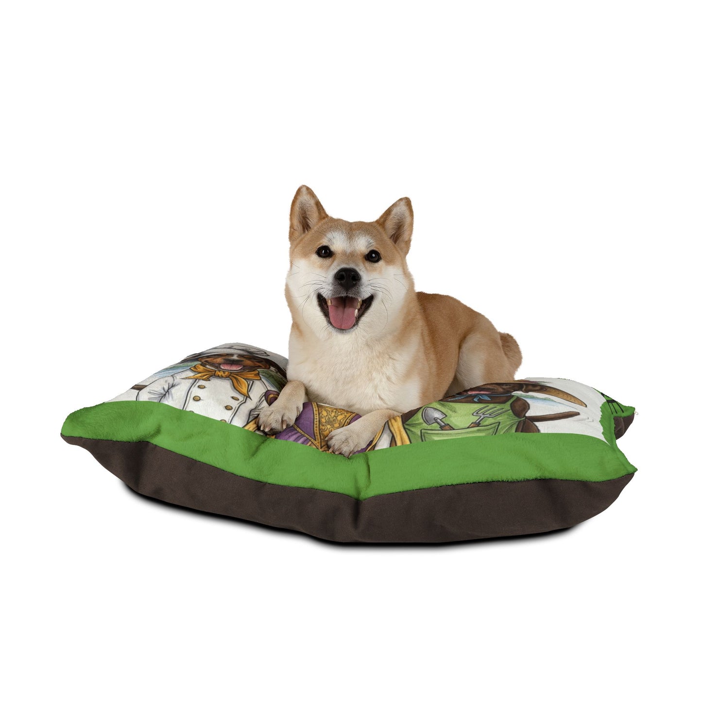 Dog sitting on a colorful pet bed with a white background
