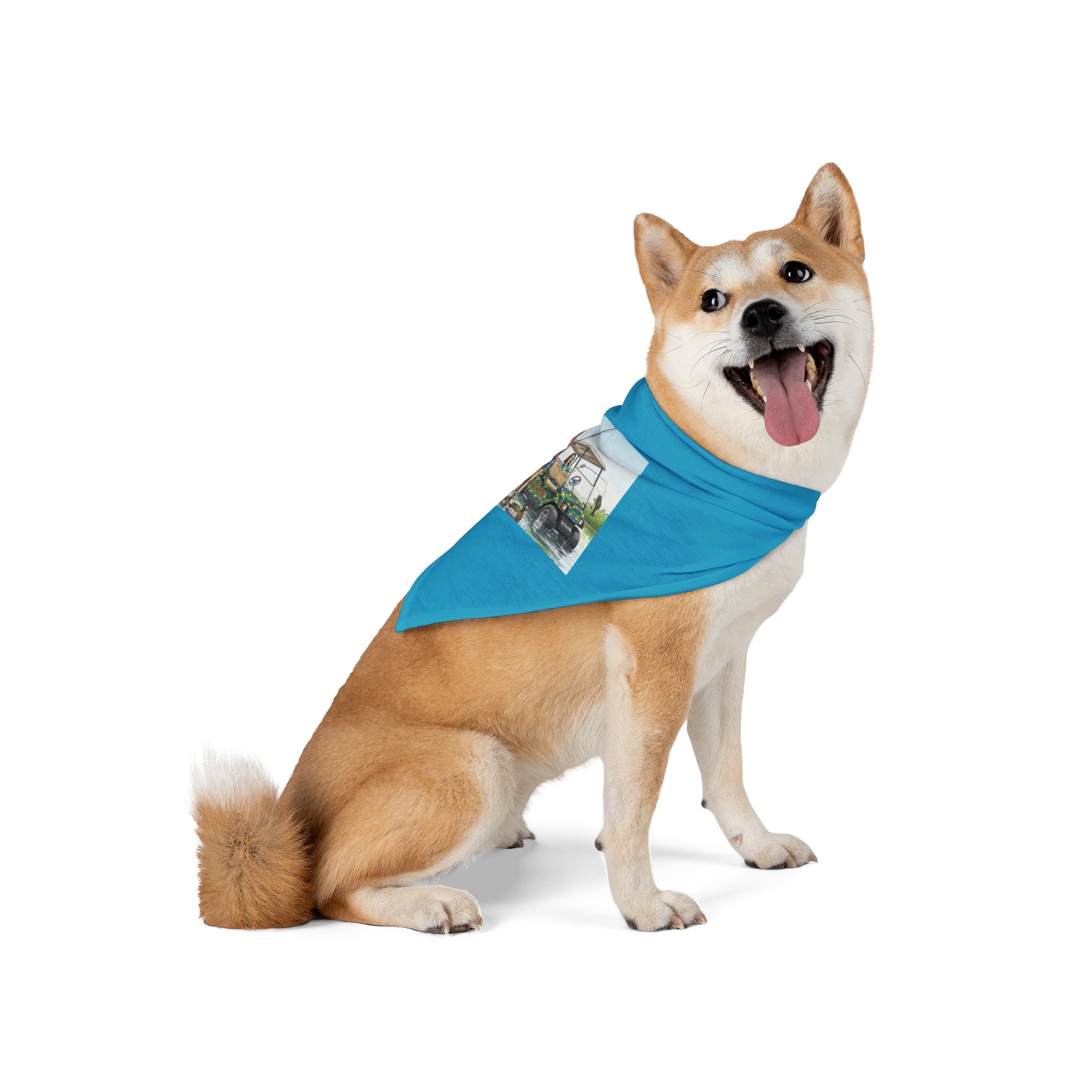 Dog wearing a blue bandana with a photo on a white background
