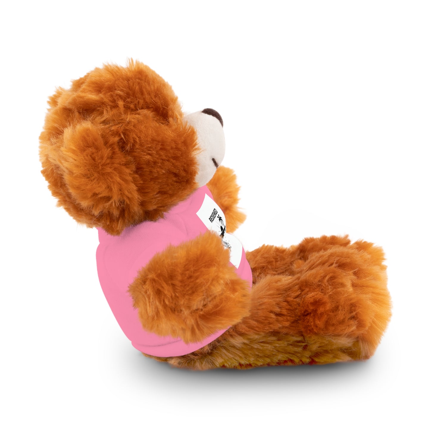 Plush toy bear in a pink shirt on a white background

