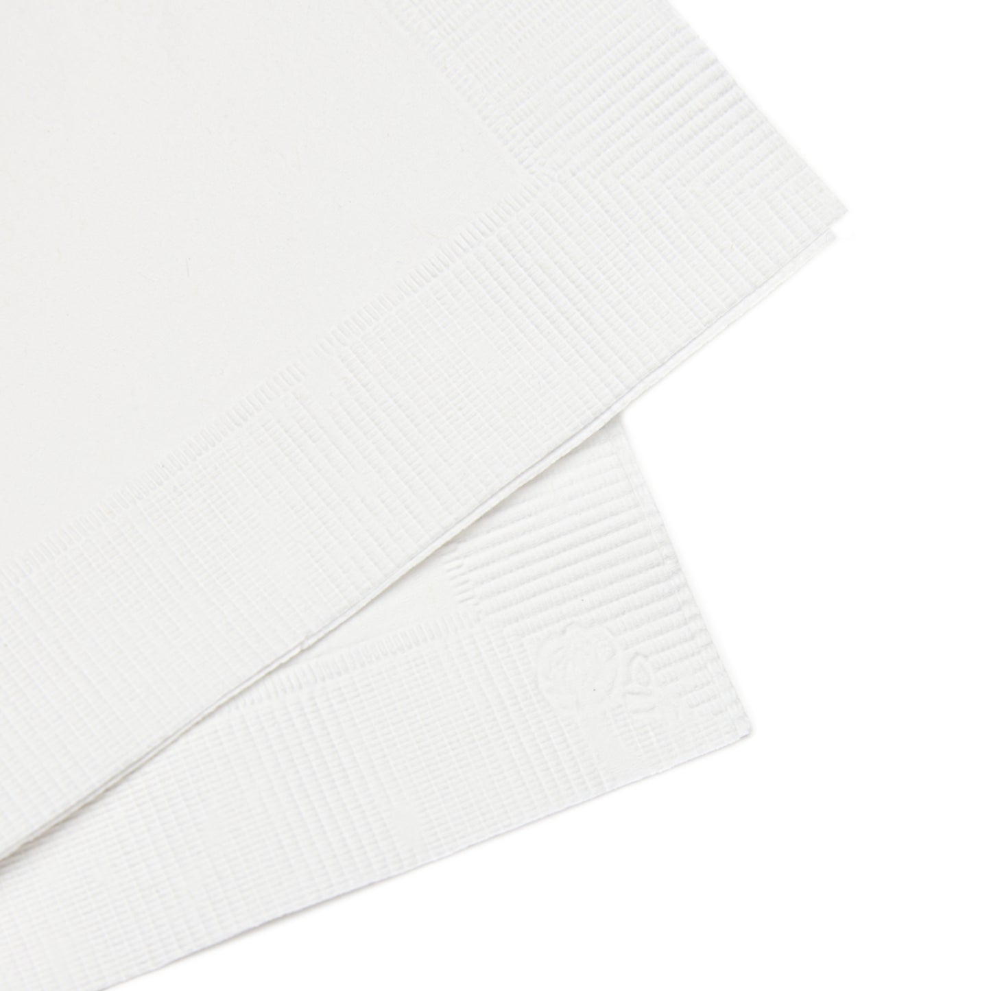 Your Disposable Diploma in Crankbaits Fishing Themed Party Napkins