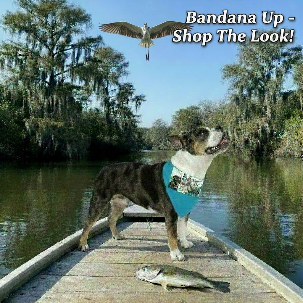 Dog on a dock with a fish and a bird, with text 'Bandana Up - Shop The Look!'