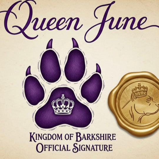 A regal graphic featuring the "Kingdom of Barkshire Official Signature." The image shows a large, stylized purple paw print with a small silver crown at its center, positioned next to a gold wax seal embossed with the profile of a crowned pit bull (Queen June). Above the paw print, the name "Queen June" is written in elegant, purple cursive script. The entire design is set against a warm, vintage parchment-style background.