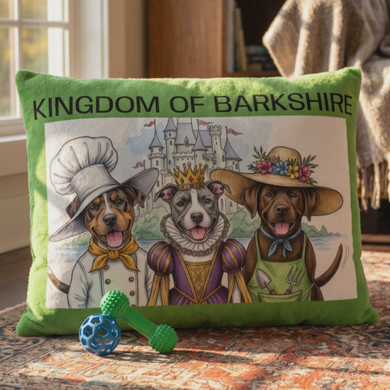 Short video of Kingdom of Barkshire pet bed with dog toys rolling on floor. 